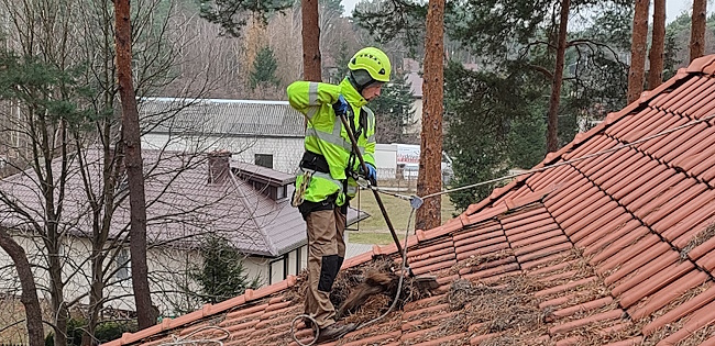 Professional gutter cleaning service in Toronto
