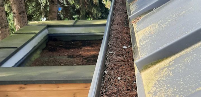 Exterior gutter maintenance work on a home in Toronto